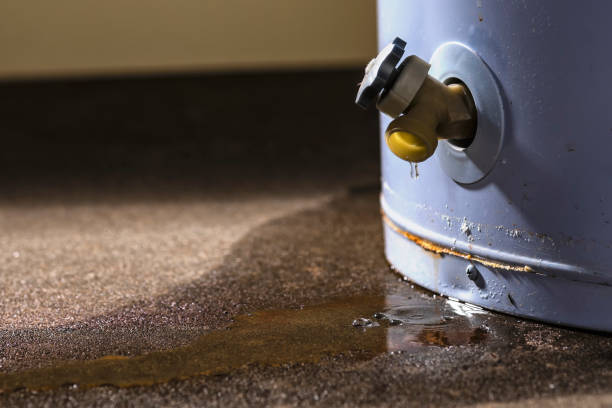 Best Water damage repair service  in Lakeland South, WA