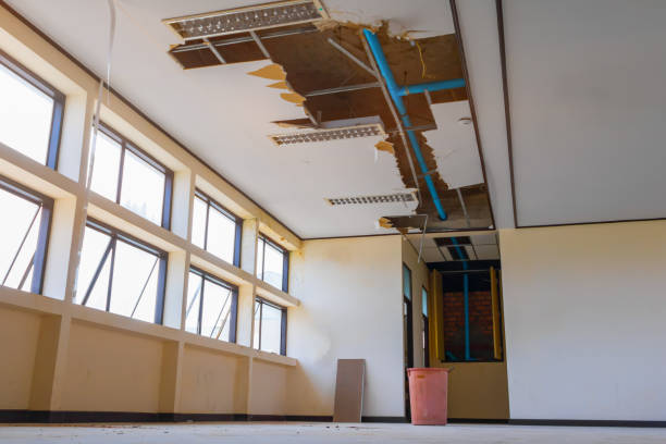 Best Water damage cleanup near me  in Lakeland South, WA