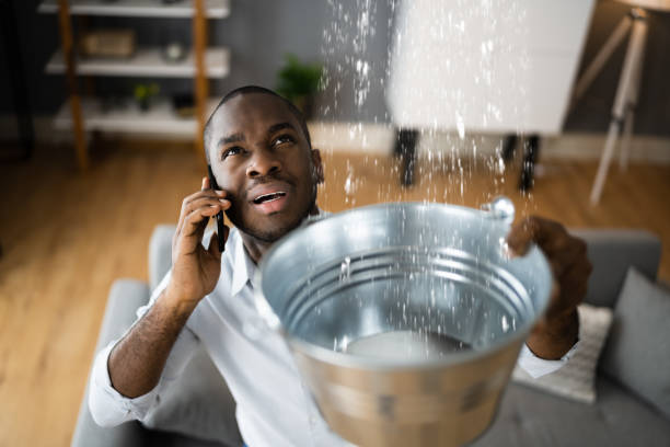 Best Water damage contractors near me  in Lakeland South, WA
