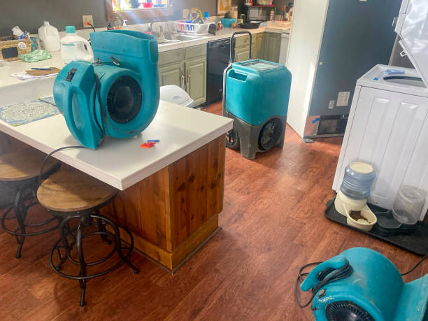 Best Water damage mitigation services  in Lakeland South, WA