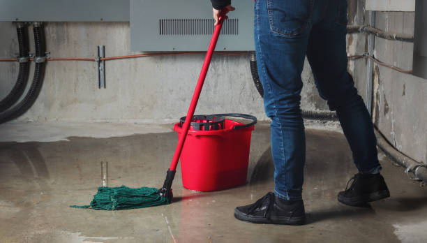 Best Water damage restoration experts  in Lakeland South, WA