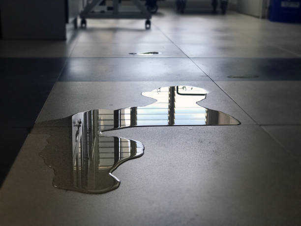 Best Professional water damage repair  in Lakeland South, WA