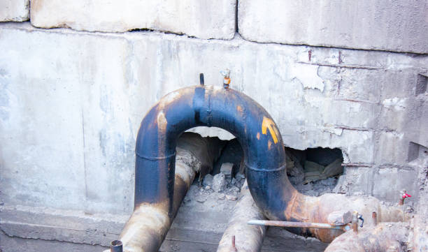 Best Flood restoration services  in Lakeland South, WA