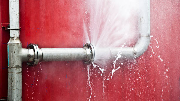 Best Water damage restoration near me  in Lakeland South, WA